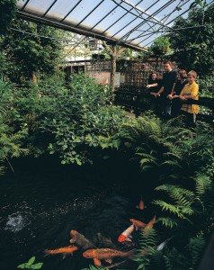 Leeds Tropical World